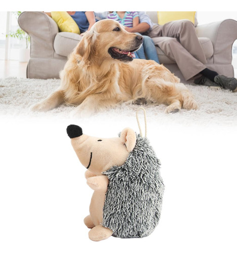 2 Perros Juguetes Intensos Chirriantes Accesorios Erizo