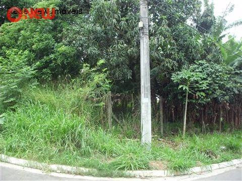 Imagem 6 de 7 de Terreno Residencial À Venda, Vila Nova Bonsucesso, Guarulhos - . - Te0028