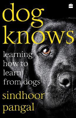 Libro Dog Knows : Learning How To Learn From Dogs - Sindh...