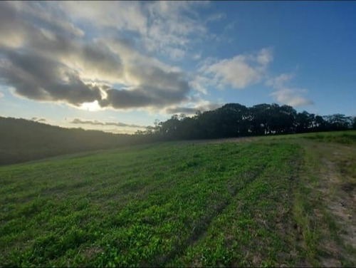 Imagem 6 de 10 de 49) Terreno A Venda Em Cotia No Bairro Caucaia Do Alto!