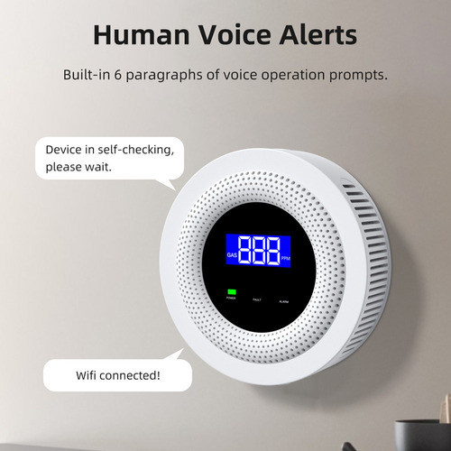 Detector Gas Fugas Wifi Alarma Voz En Directo App Remoto Usb