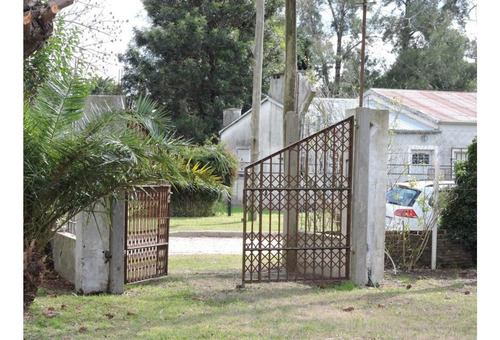 Imagen 4 de 14 de Casa Quinta En Pueblo Belgrano