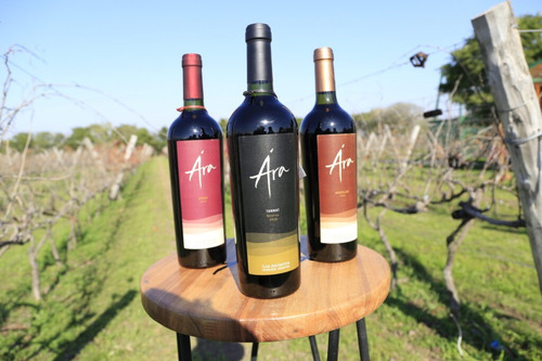 Vino Ara Tannat Reserva - Bodegas Los Aromitos - Entre Rios