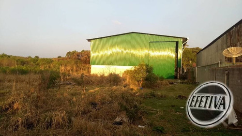 Imagem 2 de 15 de Terreno Com Galpão À Venda - Tomaz Coelho - Araucária - 706c