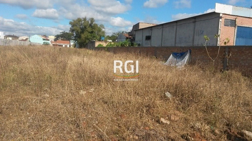 Terreno Em São Sebastião - El56355912