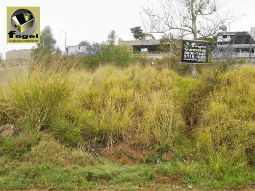 Imagem 8 de 8 de Benfica / Juiz De Fora - Terreno Com 3518m² Planos - Rua Principal - Tr1802v5