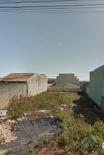 Imagem 5 de 6 de Terreno À Venda, 250 M² Por R$ 210.000,00 - Marumbi - Londrina/pr - Te0137