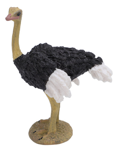 Figura De Pvc Con Forma De Ciclo De Vida De Avestruz, Animal