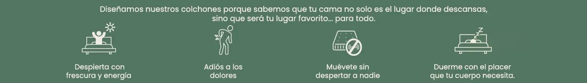 ¡Aprovecha el envío agregando más de nuestros productos a tu carrito!
