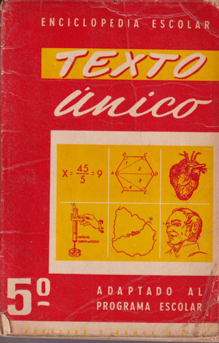 Texto Unico 5 Barreiro Y Ramos