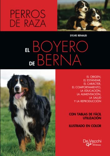 El Boyero De Berna