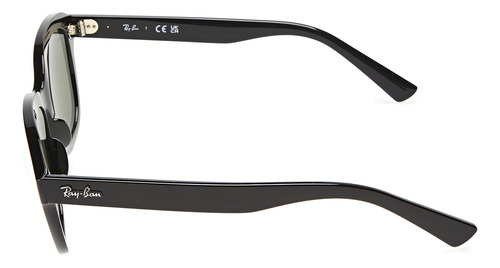 Óculos de sol Ray-Ban Contínua ERIK tamanho Normal desenho Quadrado armação negro y lente verde