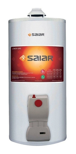 Termotanque Multi Gas De Colgar 80 Litros Saiar Rheem Tcg080