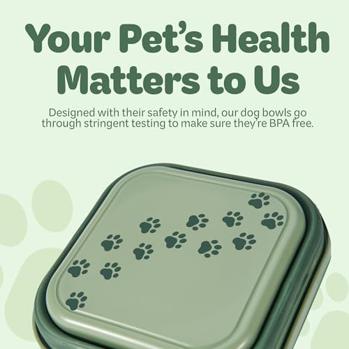 Tazón Plegable Para Mascotas Contenedor Sin Bpa Verde