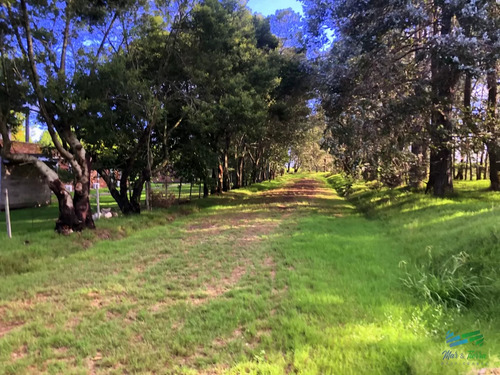 Venta De Terreno Proximo Al Aeropuesrto De Punta Del Este En Laguna De Los Cisnes