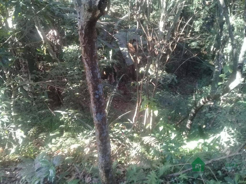 Imagem 23 de 30 de Chácara Com 2 Dormitórios À Venda, 2425 M² Por R$ 290.000 - Embu Mirim - Itapecerica Da Serra/sp. Consulte-nos! - Ch0001