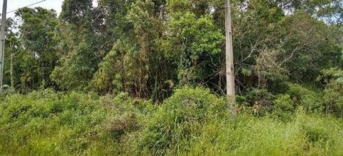 Imagem 1 de 6 de Terreno No Bairro Jardim Marambá, Próximo A Rodovia