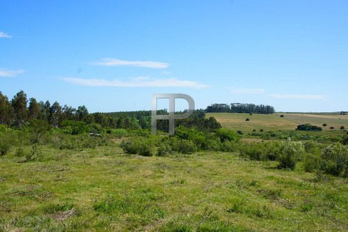 Imagen 1 de 5 de Campo En Venta Piriápolis 5 Hectáreas