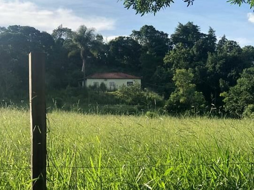 Imagem 7 de 10 de Chácara À Venda Em Pinhalzinho/sp - 0081