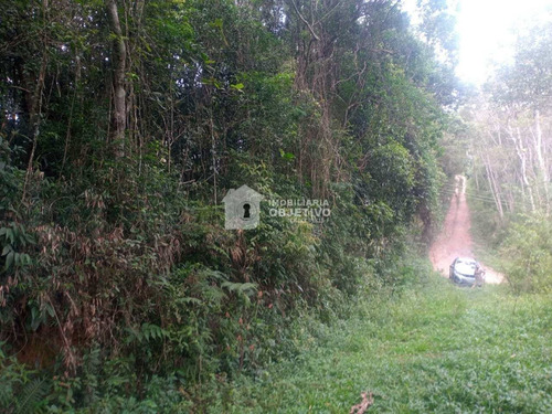 Imagem 3 de 10 de Terreno, Quilombo, Cotia - R$ 100 Mil, Cod: 4414 - V4414