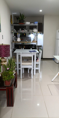 Imagen 4 de 15 de Apartamento De 1 Habitación En Renta