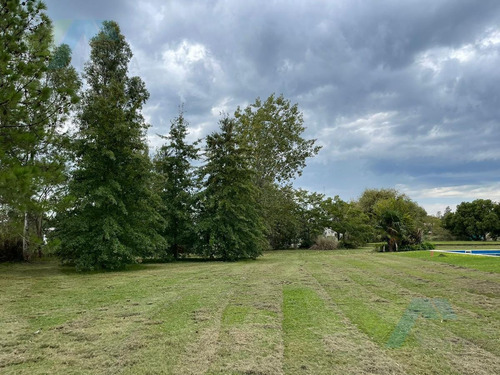 Imagen 4 de 10 de Terreno - Casuarinas Del Pilar