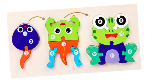 Ciclo De Vida De Madera De Animla Puzzle Brain Rana