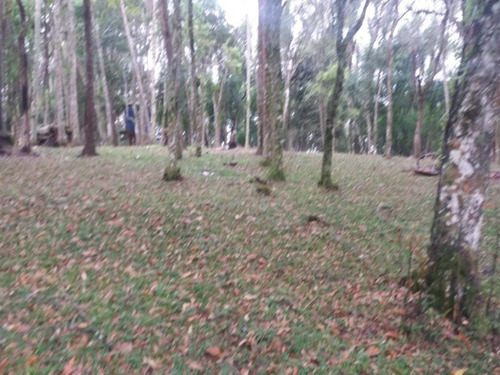 Imagem 22 de 30 de Sitio - St00010 - 33445432