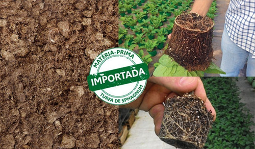 Imagem 4 de 6 de Substrato Turfa + Perlita (50%-50%) 50lts Lupa