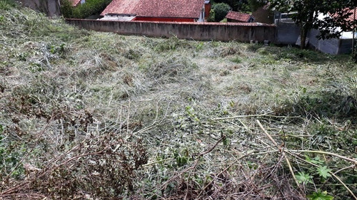 Terreno A Venda Em Águas Da Fazendinha - Carapicuíba - 35147
