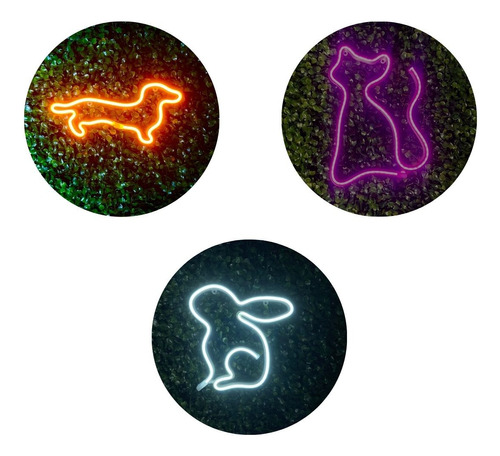 Trio Luminárias Neon Led Kit Petshop 1 Instagramavel Bivolt