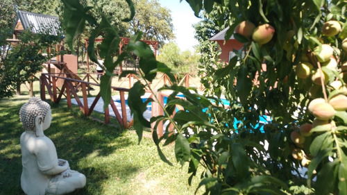 Imagen 10 de 13 de Cabañas En Gualeguay! Ambiente De Campo! Hot Sale!!! Promo 1: Semana Del 30/01 Al 03/02 $40.000,00 Promo 2: Del 12/02 Al 16/02 $40.000,00