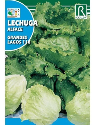 Semilla Lechuga Escarola Rocalba 6 Grs