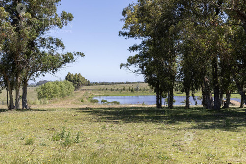 Venta Campo Con Casa 164 Hectáreas, 8 Dormitorios, Ruta 104
