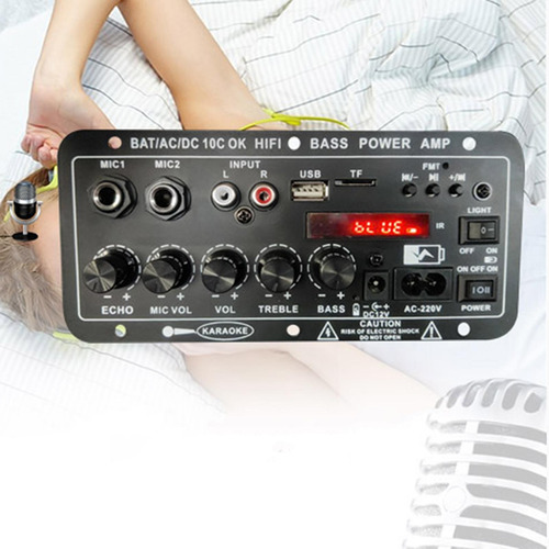Placa Amplificadora Digital Receptor De Audio Para