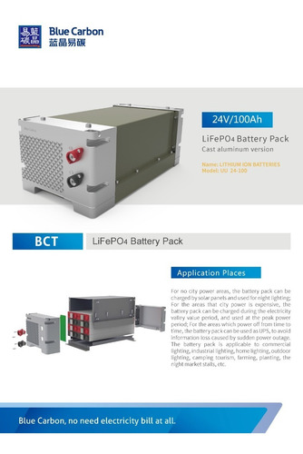 Imagen 2 de 6 de Bateria Solar Litio Lifepo4 100ah 24v Blue Carbon