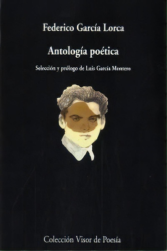 Antologãâa Poãâ©tica, De García Lorca, Federico. Editorial Visor Libros, S.l., Tapa Blanda En Español, 2013