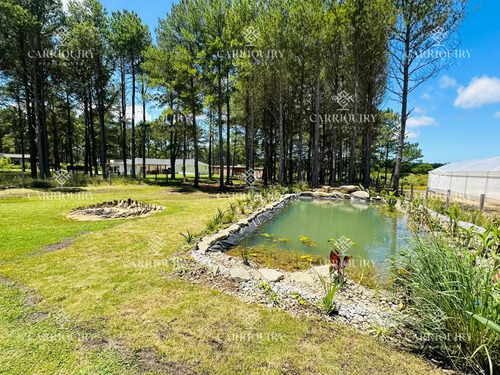 Excelente Casa Moderna A Estrenar Ideal Para Sus Vacaciones O Vivir Todo El Año