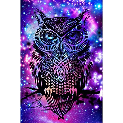 5d Diamond Painting Full Drill, 16 X12  Dream Owl Diy D...