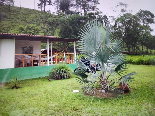 Imagen 4 de 10 de En Venta Hermosa Finca Via La Morita El Piñal