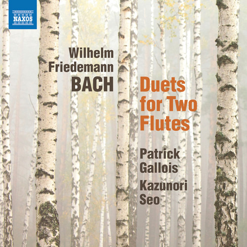 Cd De Duetos Para 2 Flautas De Gallois/seo