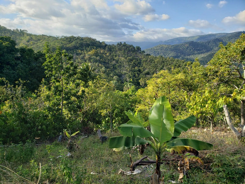 Finca De Aguacate En Venta En Paraíso Barahona Con Vista Al Mar