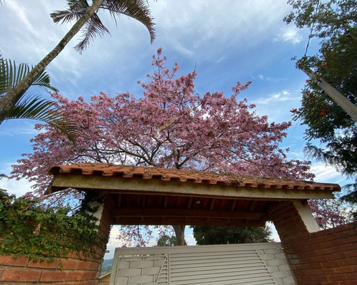 Imagem 5 de 20 de Casa A Venda No Vale Do Atibaia I Em Piracaia-sp - Ch00066 - 69438700