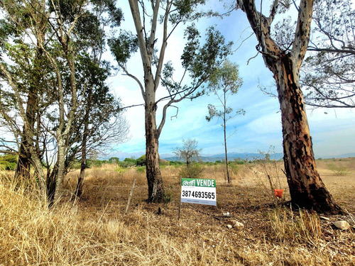 Campo En Venta Zona Autopista Oeste 2.6 Hectáreas