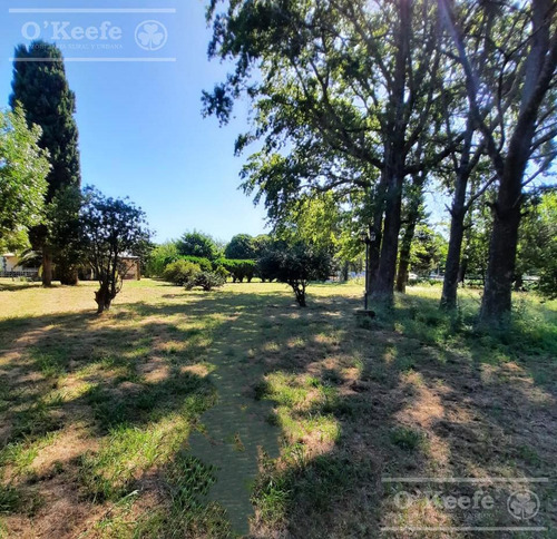 Chacra En Venta De 3,5 Has En Arturo Segui !!!