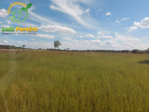 Imagem 8 de 15 de Fazenda À Venda Em Vale Do Araguaia - T0 - 20% De Reserva (dupla Aptidão) - 1738