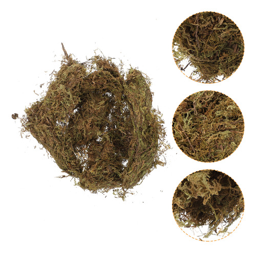 Musgo Seco Moss Habitat, 2 Paquetes