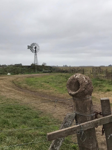 Venta 550 Hectareas Cañuelas Campo Mixto Ideal Ganadero U$s 6500 X Has.