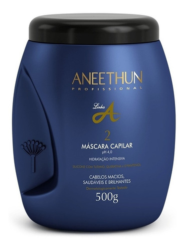 Aneethun Kit Linha A Shampoo 300ml + Máscara 500g