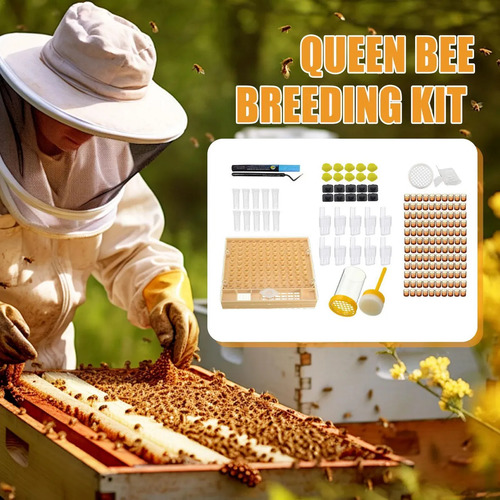 Kit Completo De Cría De Abejas Kit De Cría De Abejas Reina